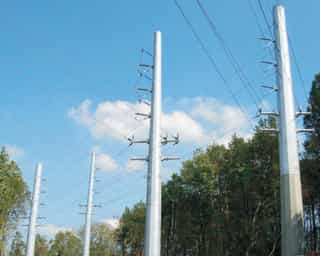 Galvanized utility poles against a clear sky